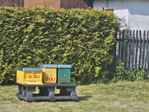 Bienenstand 2