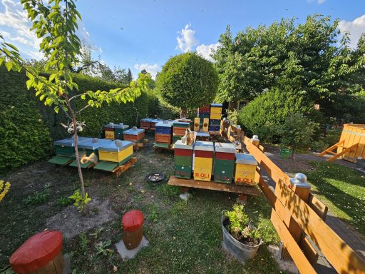 Bienenstand 1